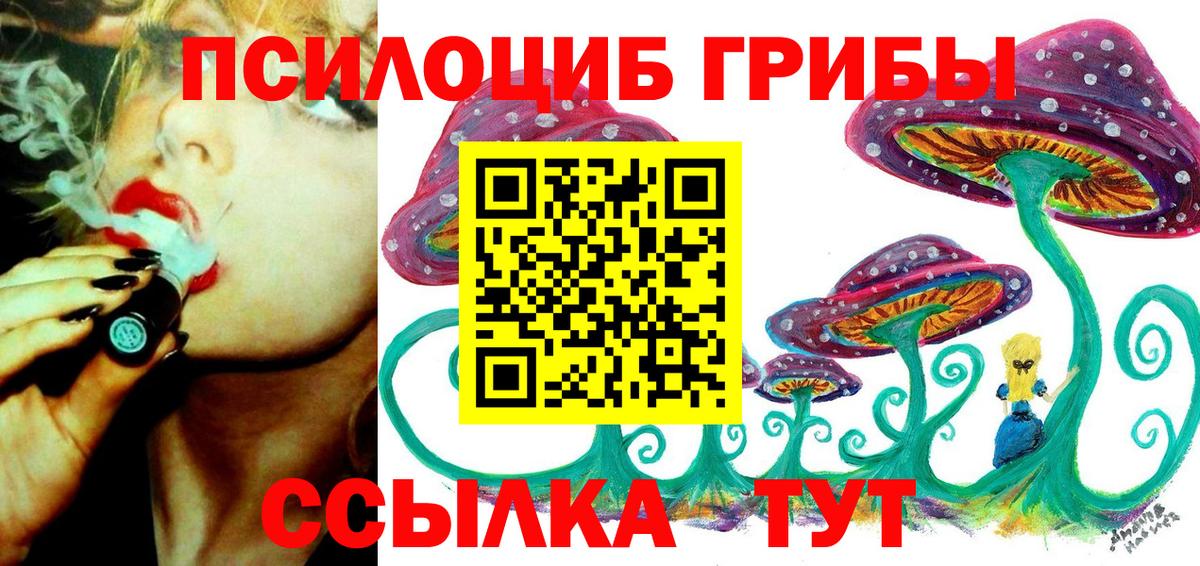 Галлюциногенные грибы MAGIC MUSHROOMS  Псилоцибиновые грибы Psilocybine cubensis  Вход с VPN  Новочеркасск 