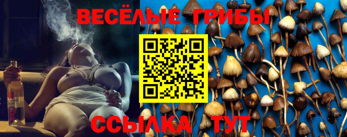 Галлюциногенные грибы прущие грибы Новочеркасск